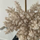 Lampe corail Hollywood Regency des années 70
