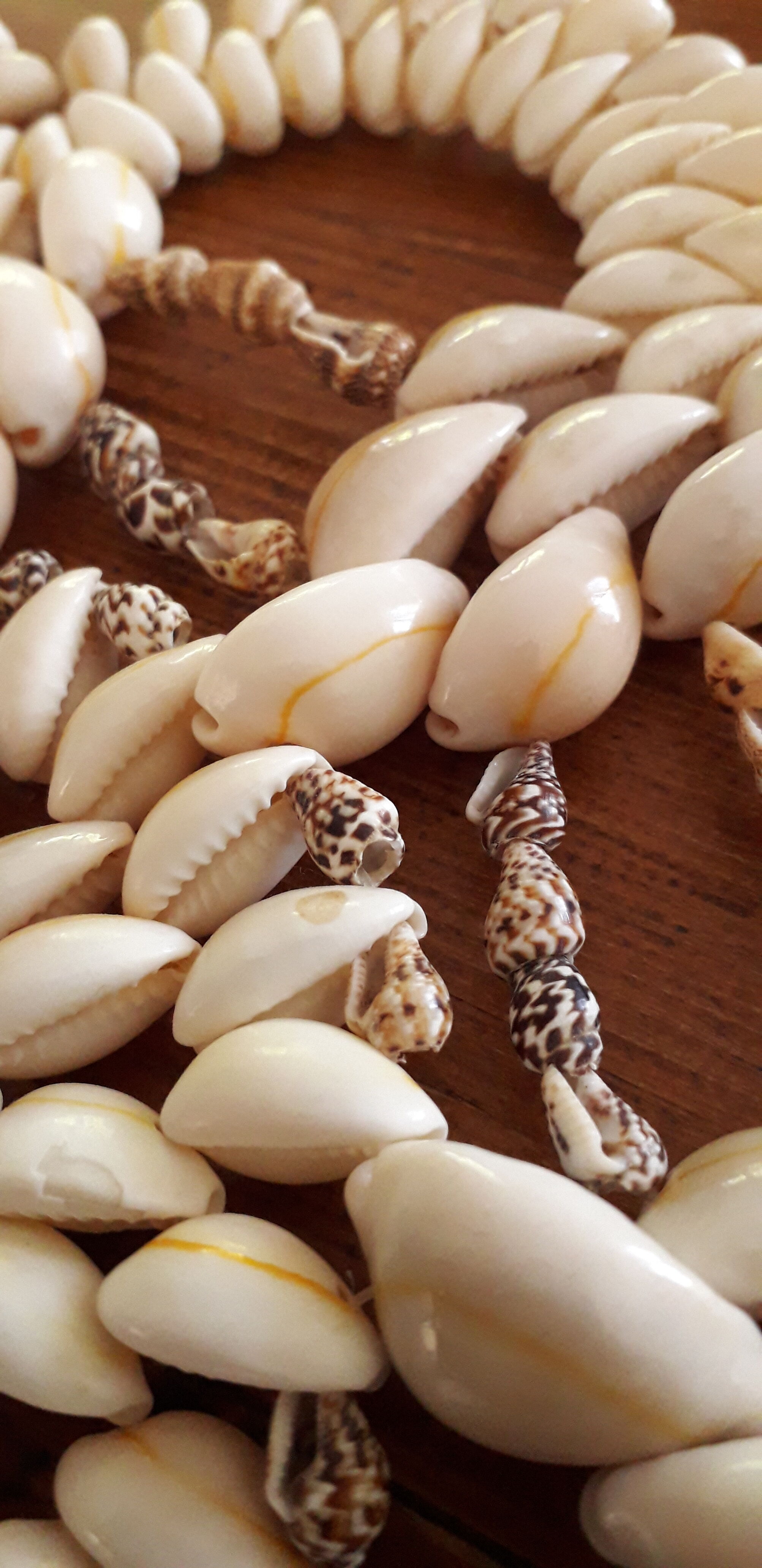 Vintage shell decoration