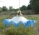 Vintage blue draped glass walkman