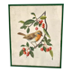Antique engraving bird in metal frame