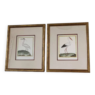 Pair of animal engravings