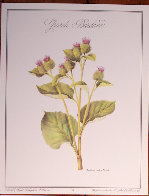 Série d'affiches botaniques de 1986