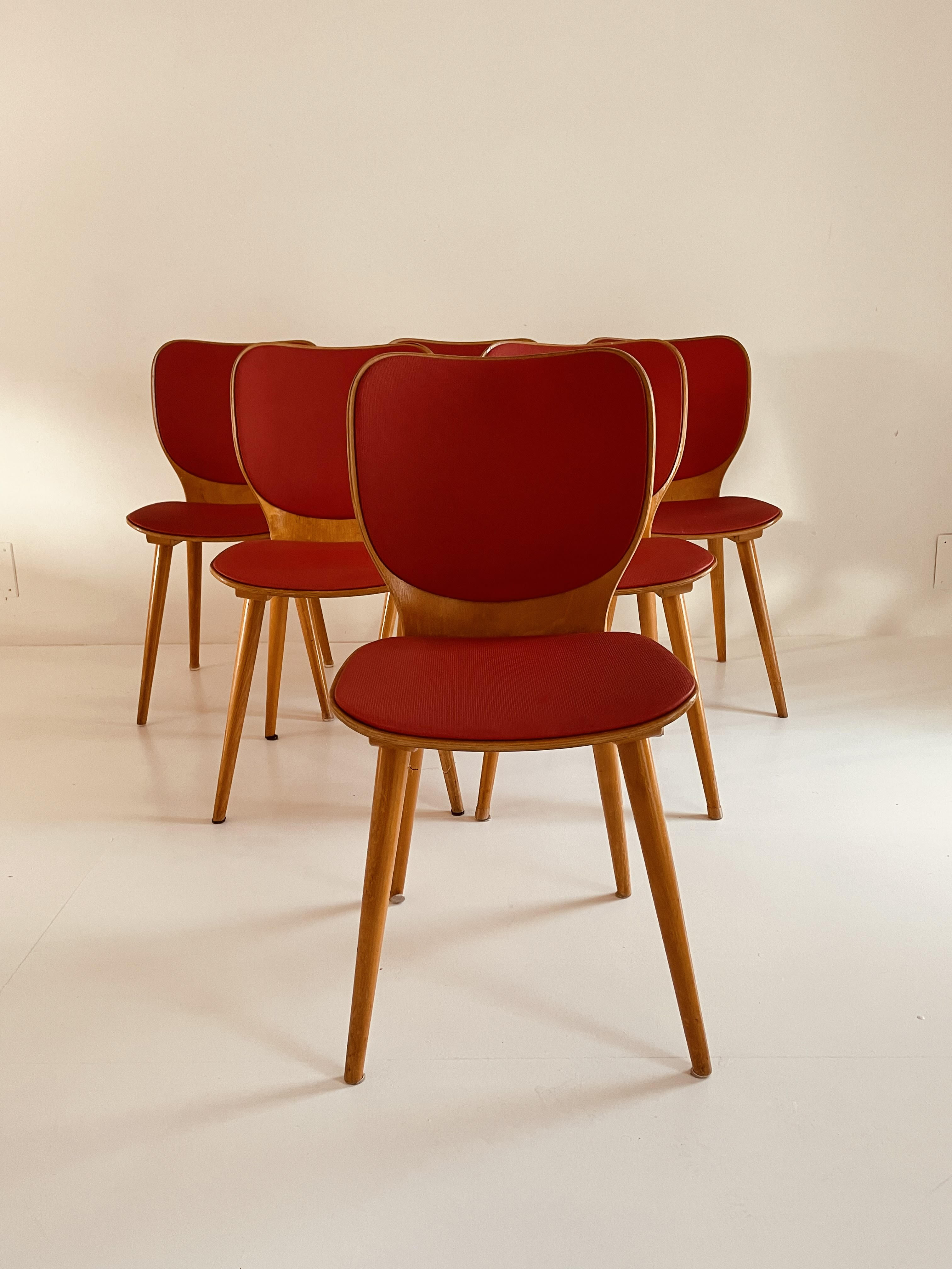 6 MAX BILL chairs by BAUMANN 800 series