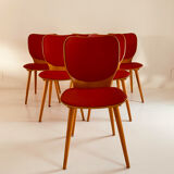 6 MAX BILL chairs by BAUMANN 800 series