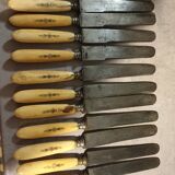 Ivory handle knives xixth