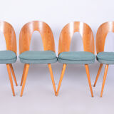 Set of Four Original Midcentury Ash Chairs by Antonin Suman, Czechia, 1930s