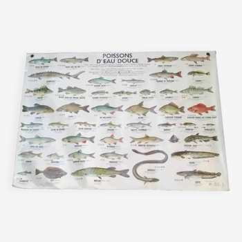 Affiche scolaire vintage poisson d’eau douce et de mer