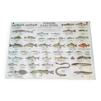 Freshwater and sea fish vintage school poster