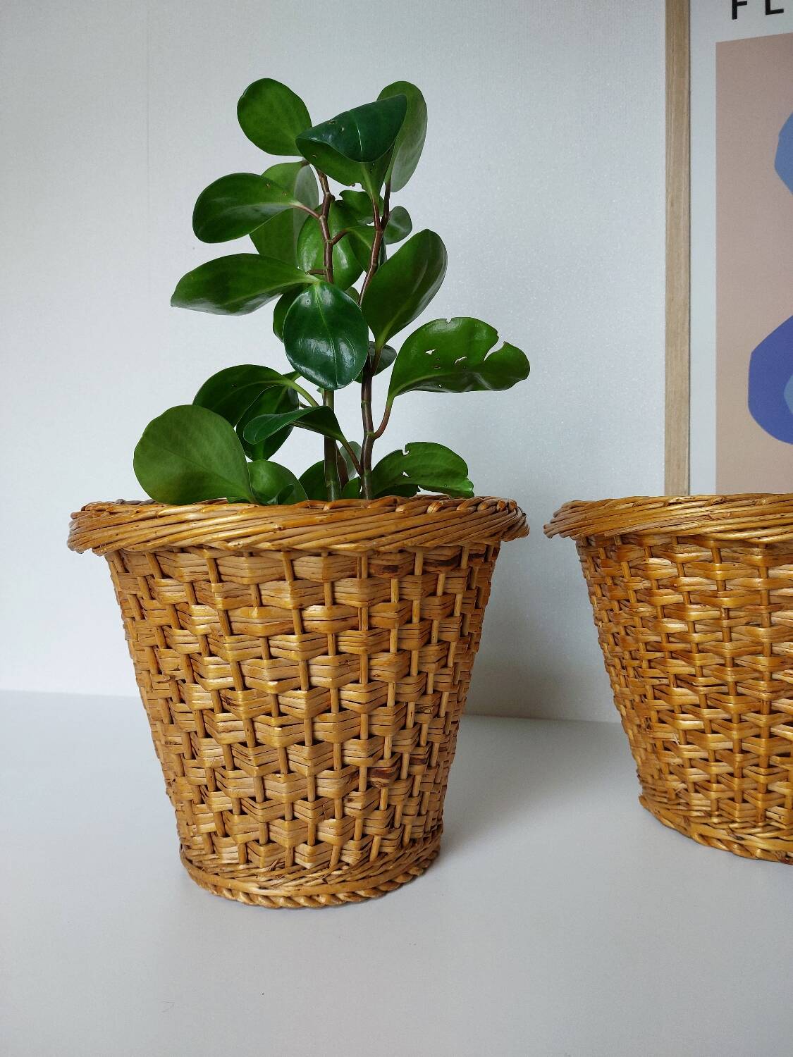 Woven Wicker Plant Pots