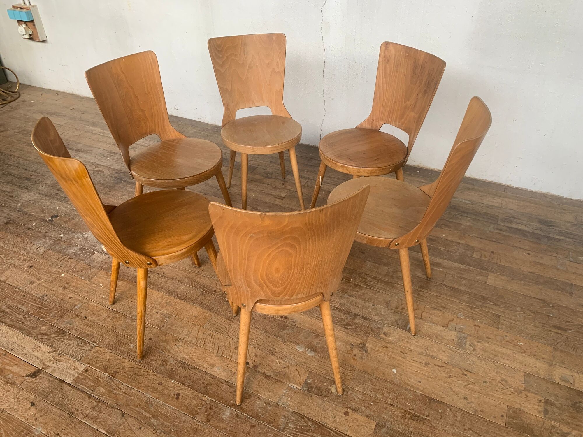 Series of 6 chairs bistro Baumann model Dove year 1950/1960