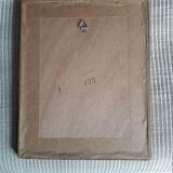 Ancient botanical engraving