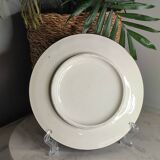 Plate/trivet