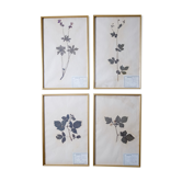 Herbier français