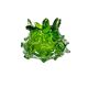 Vase à boutons en verre transparent et vert par Jan Beranek, République tchèque