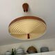 Scandinavian teak suspension Temde Leuchen 60s