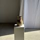 Old beige matte terracotta carafe H24 L16
