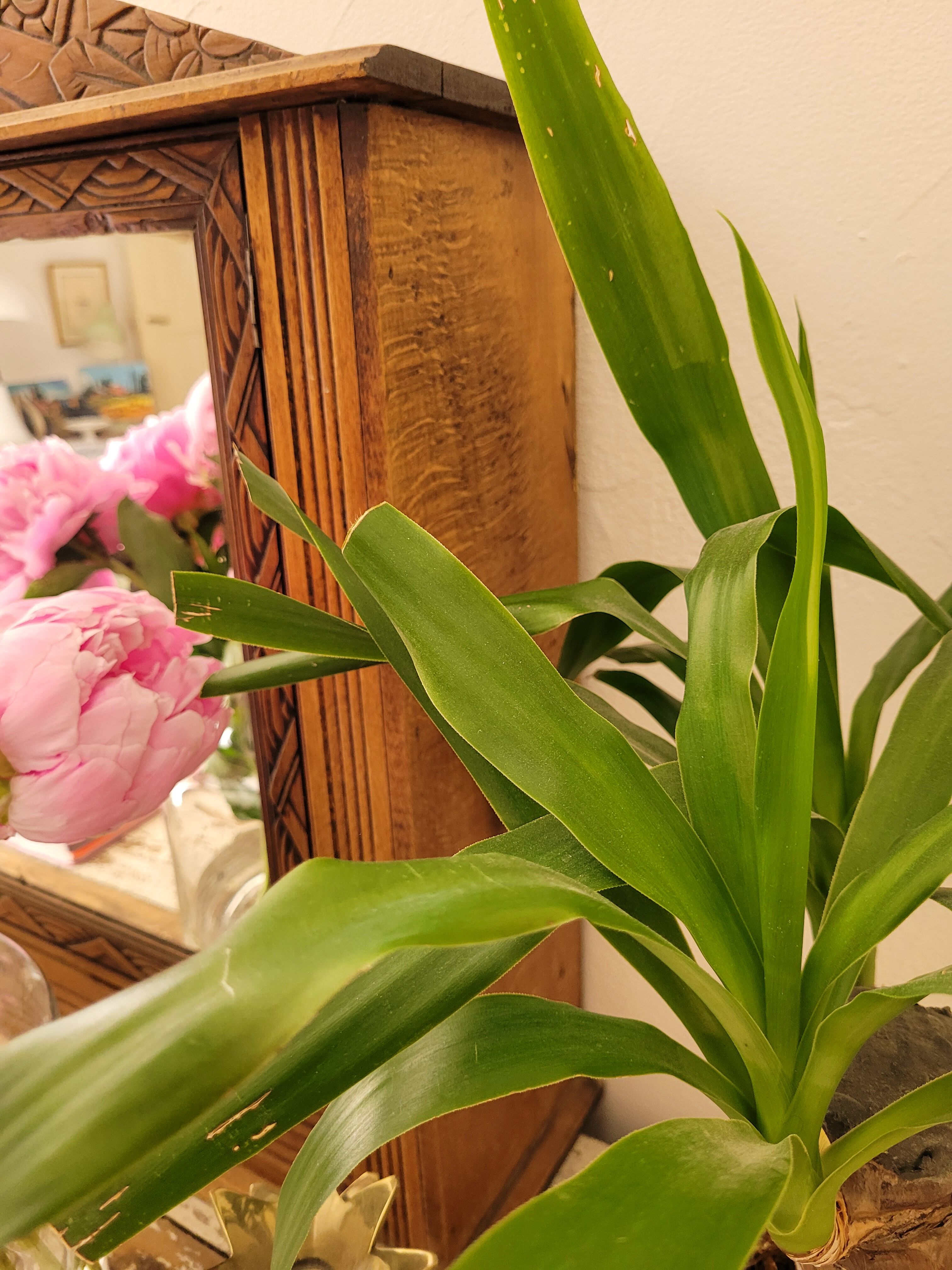 Art Deco medicine cabinet