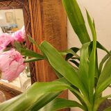 Art Deco medicine cabinet