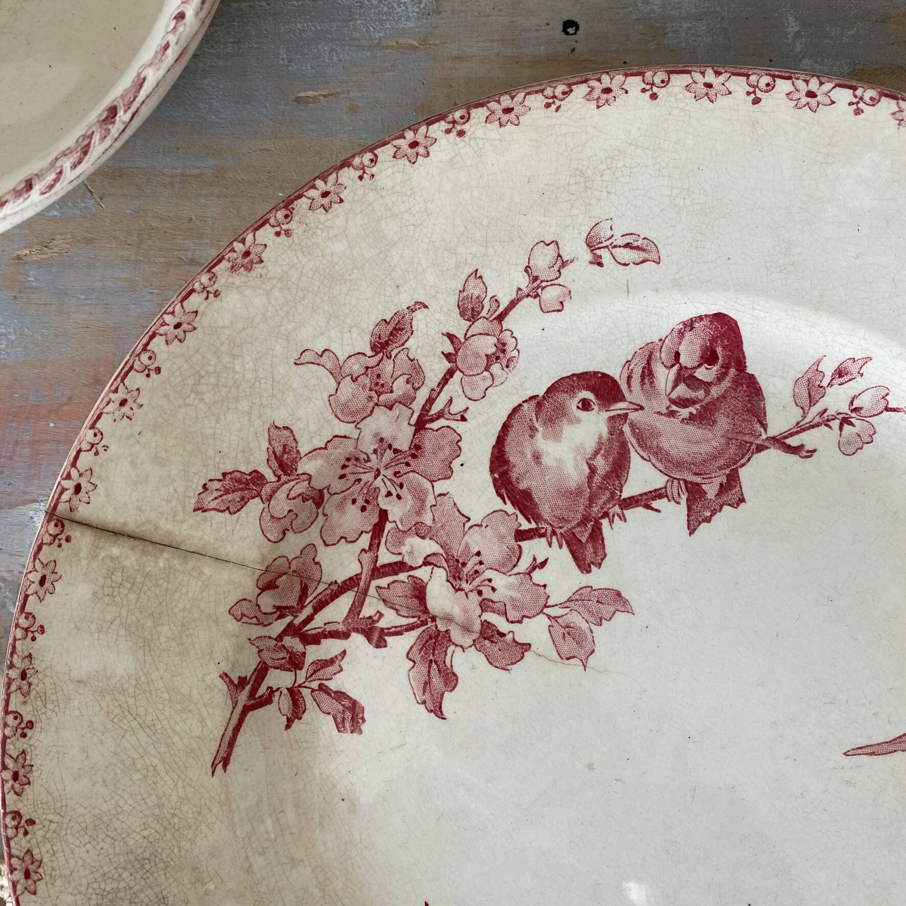 Round plate made of ironstone Sarreguemines Digoin model Favourite