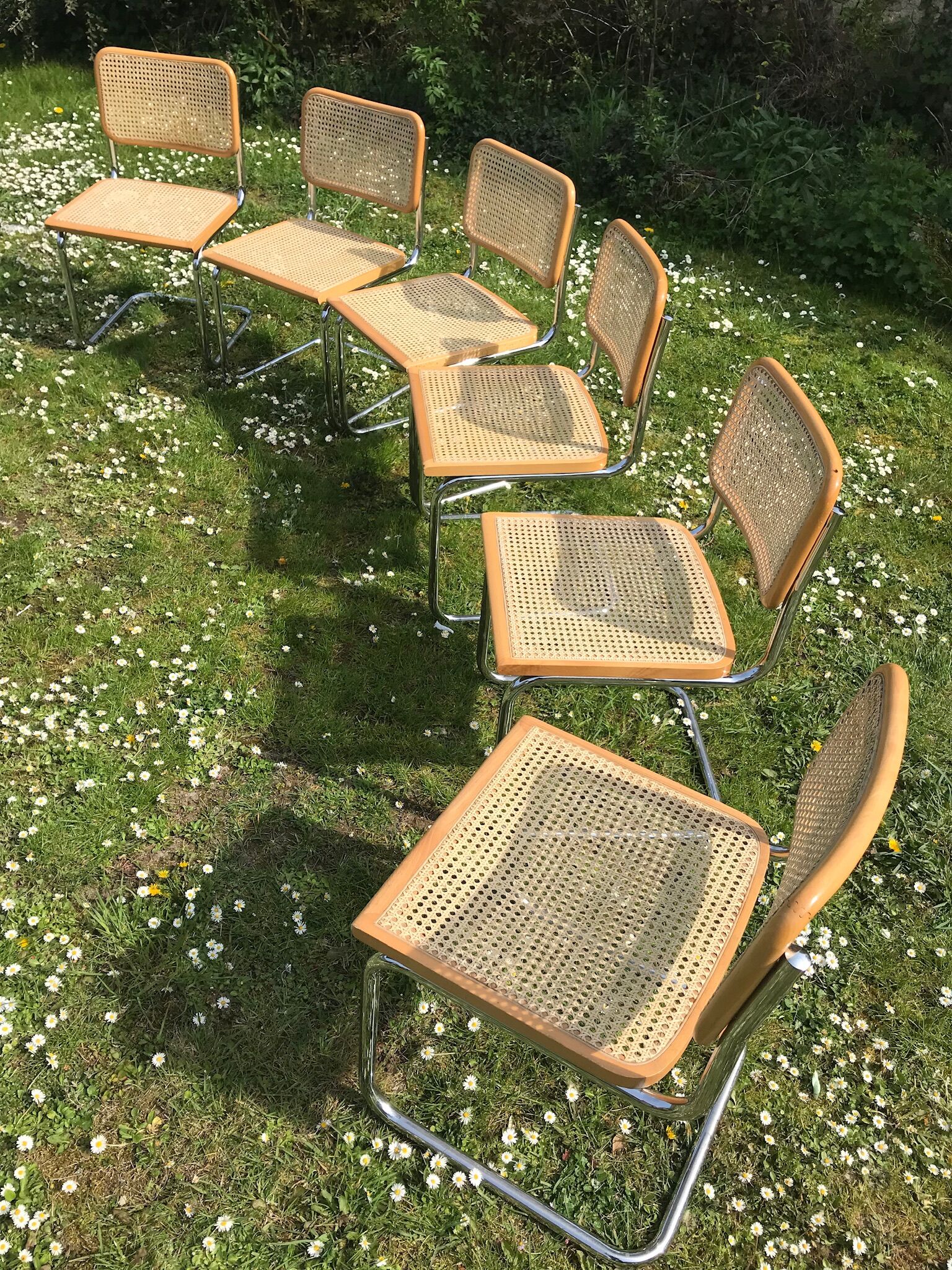 Set of 6 chairs cesca b32 design Marcel Breuer italy