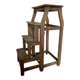 Nineteenth bookcase ladder