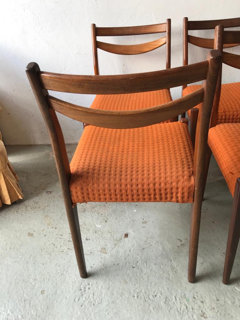 6-Pack Scandinavian chairs