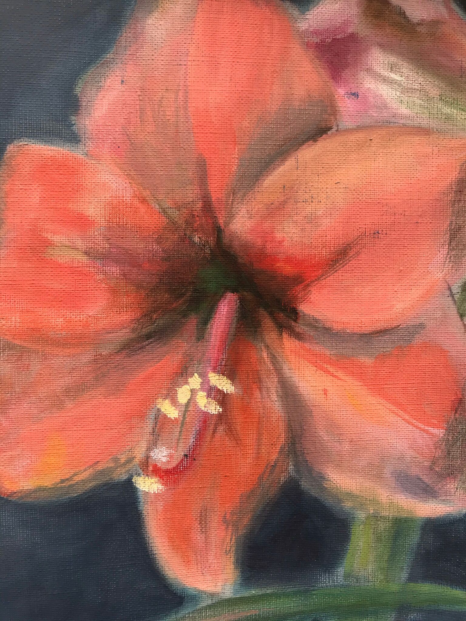 Painting / painting on canvas COTTON