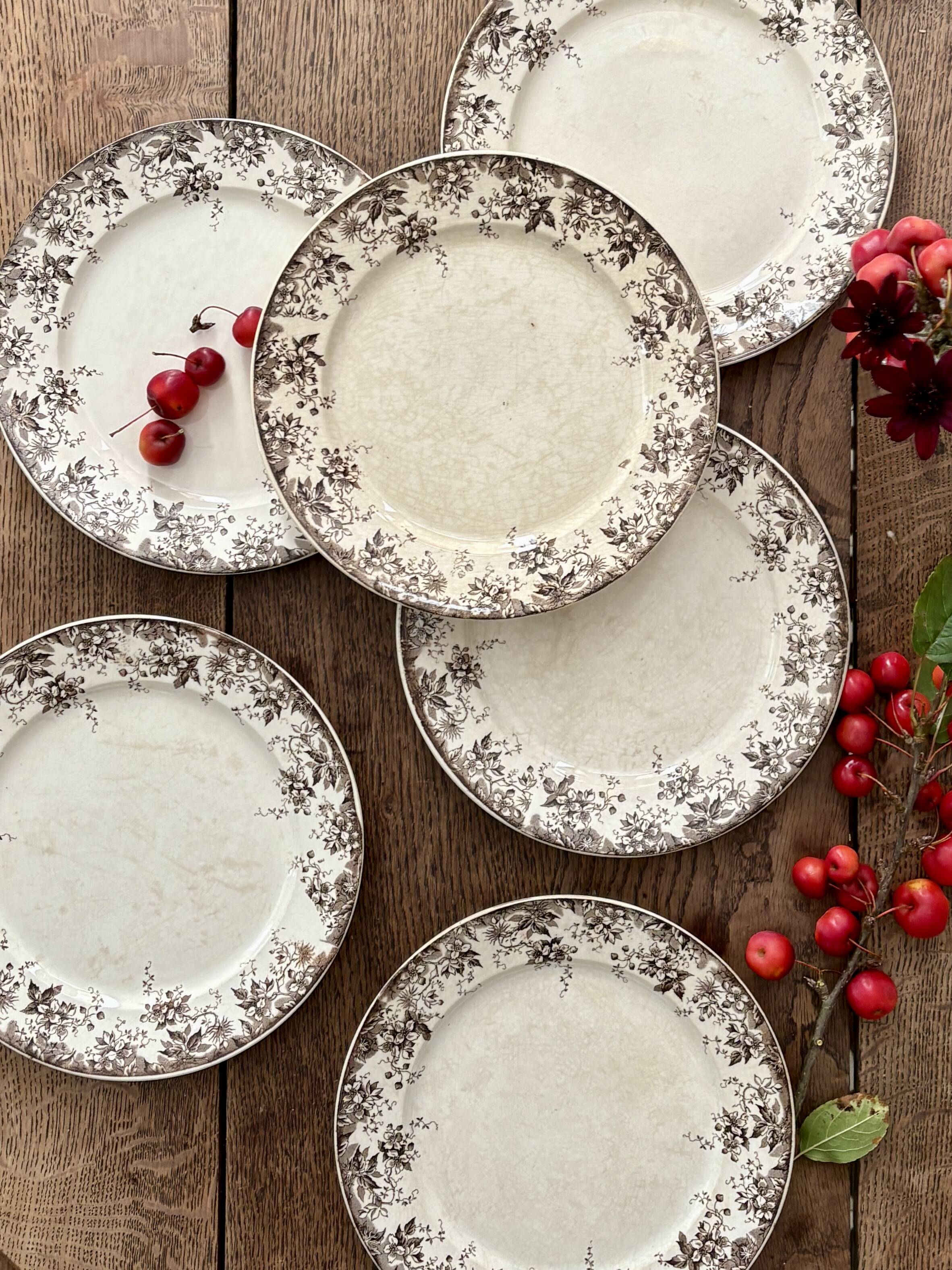Set of 6 antique ironstone dinner plates, Alphand pattern