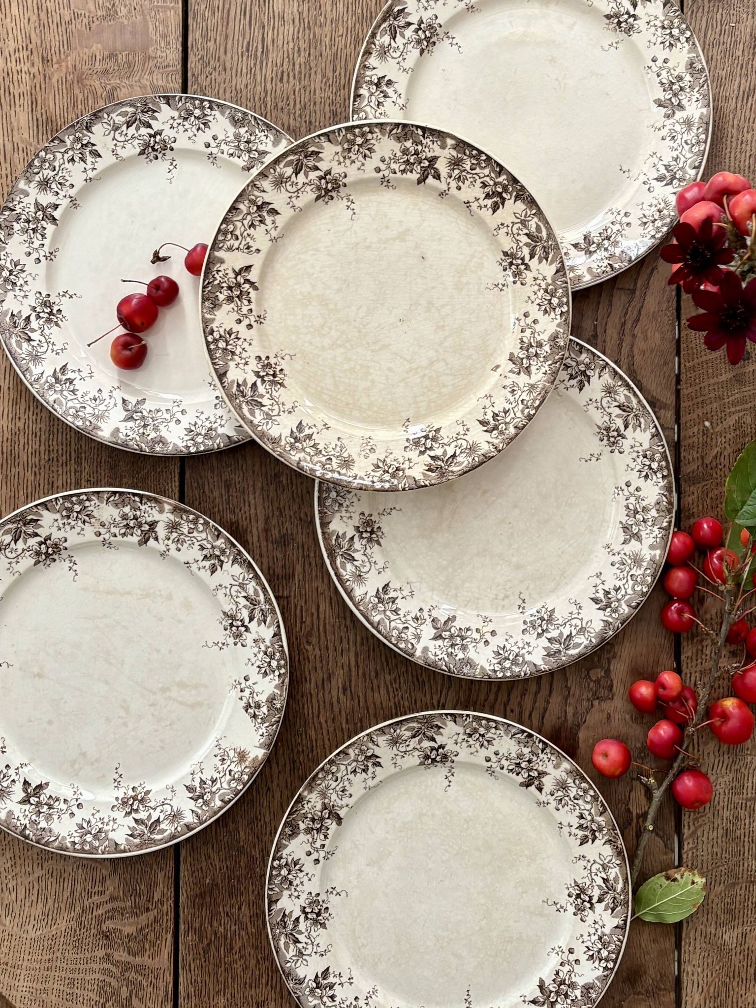 Set of 6 antique ironstone dinner plates, Alphand pattern