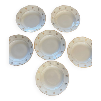 6 assiettes ancienne en porcelaine