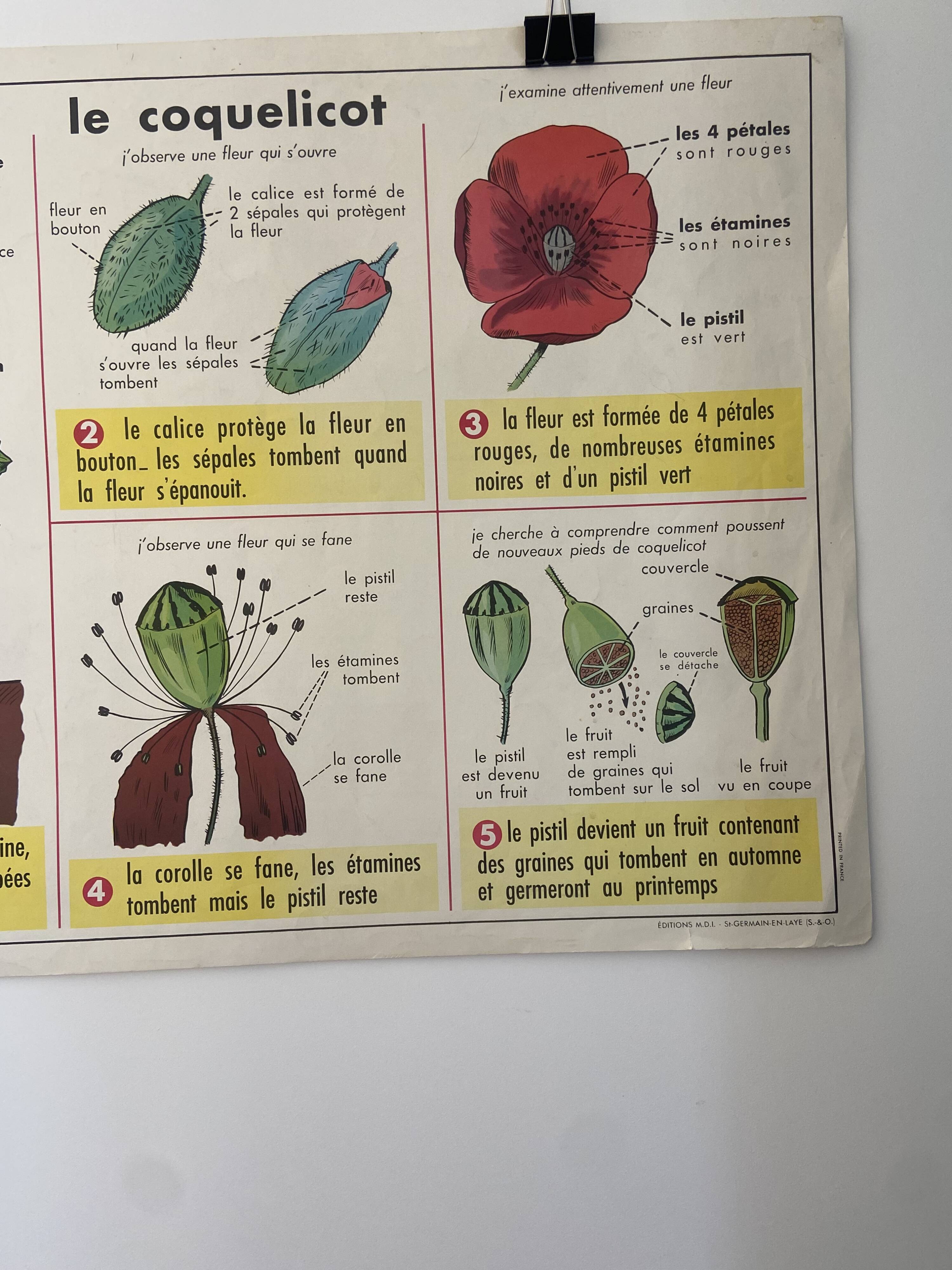 Affiche pédagogique vintage