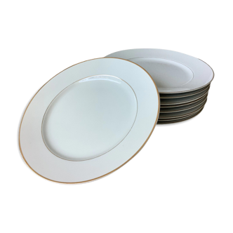 Nitto Hawthorne Japan plates - prestige tableware