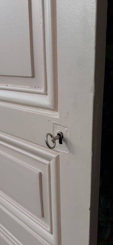 Pair of old cupboard doors h200x60cm each