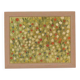Nature morte de fleurs des champs