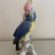 Bird Great Cockatoo Karl Ens