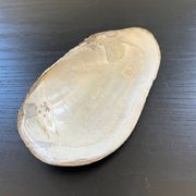 Vide poche coquillage en nacre