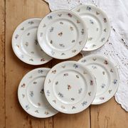 6 vintage dessert plates porcelain from Limoges – small flowers