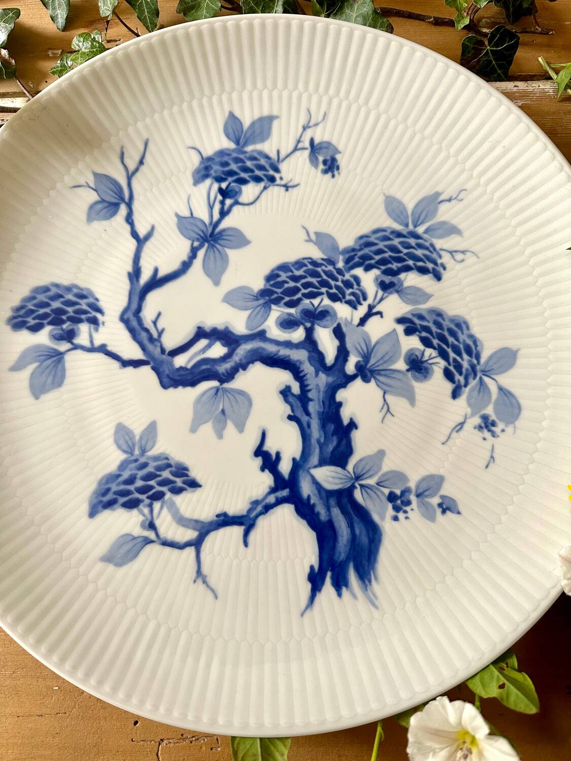 Set of two German porcelain dishes from the 1950s