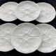 6 Limoges porcelain oyster plates