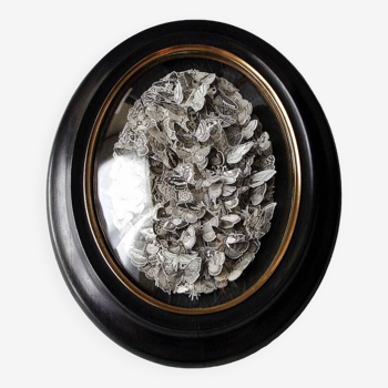Swarm, original creation, butterfly engravings and Napoleon III frame.