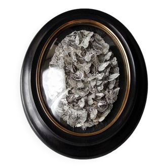 Swarm, original creation, butterfly engravings and Napoleon III frame.