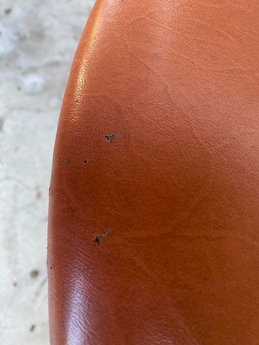 Hans Olsen dining set for Frem Rojle Denmark 1960