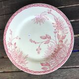 Assiettes à dessert « Turenne » de Creil et Montereau