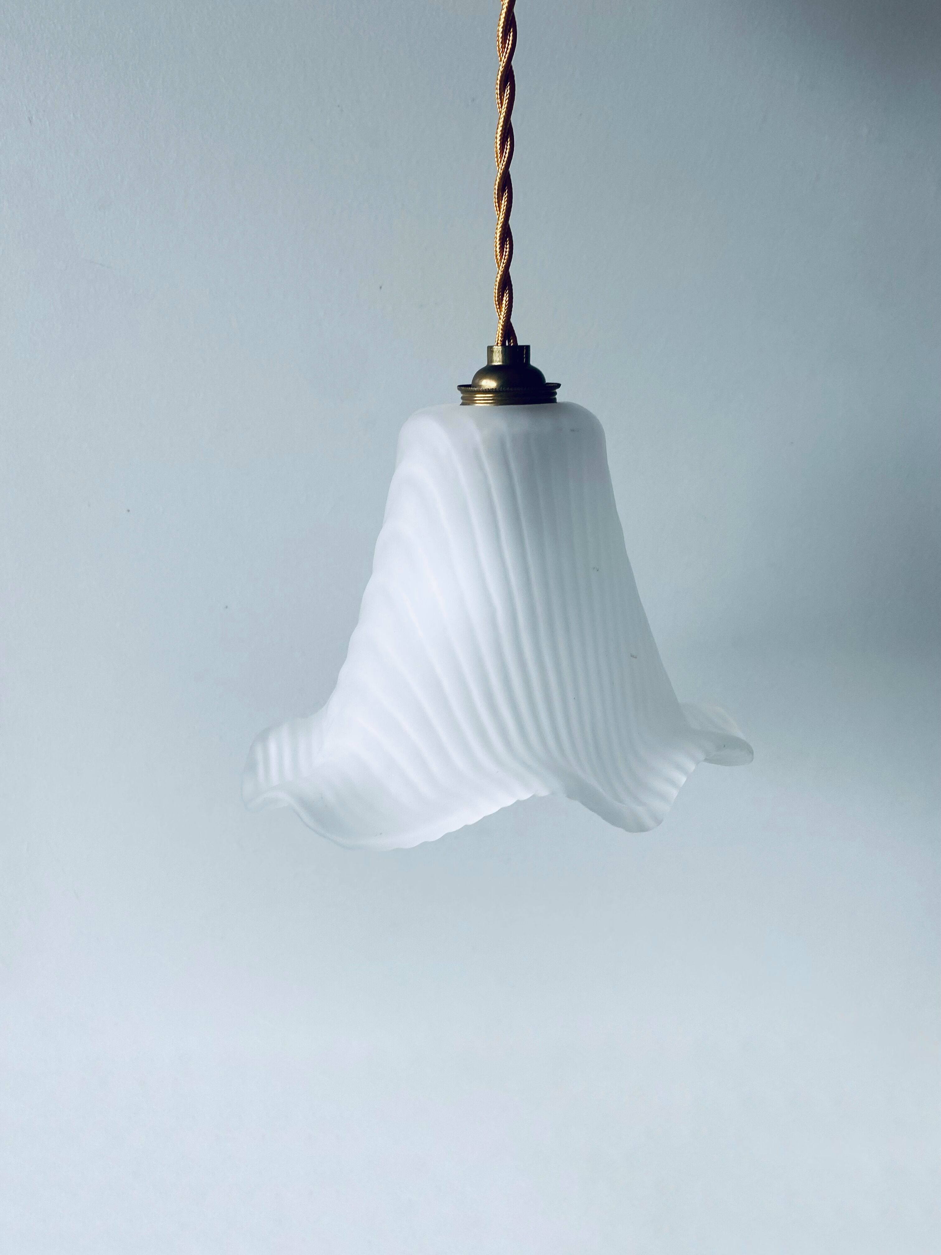 Flower suspension in glass paste