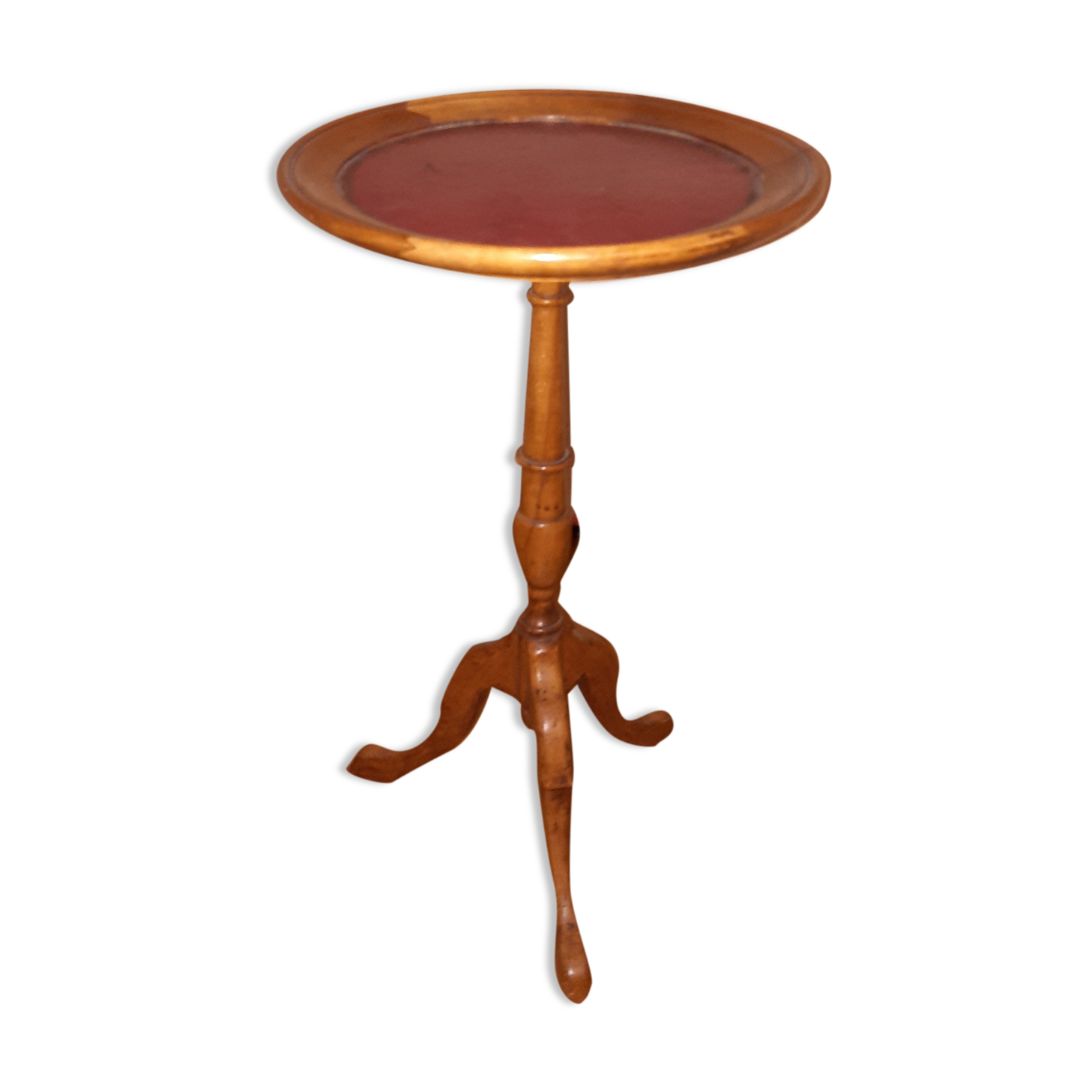 Little tripod guerid