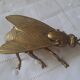 Large brass fly ashtray