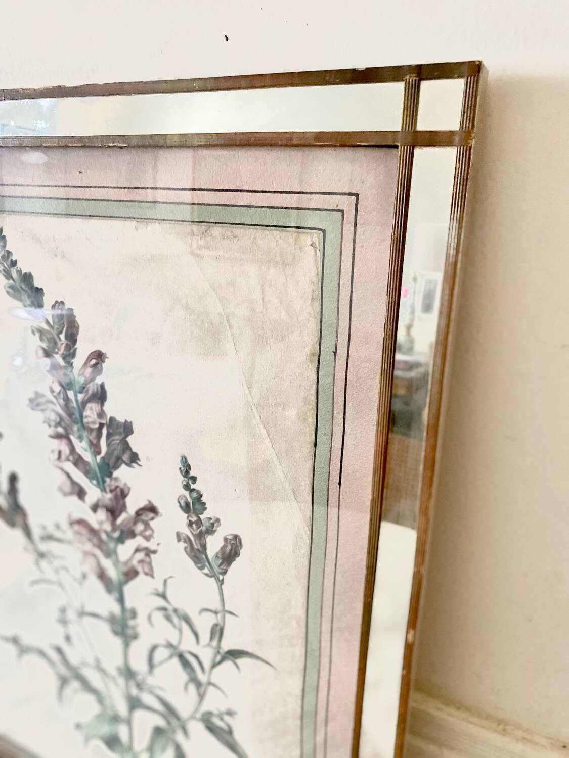 Botanical lithograph frame