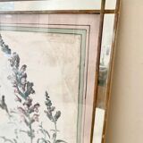 Botanical lithograph frame