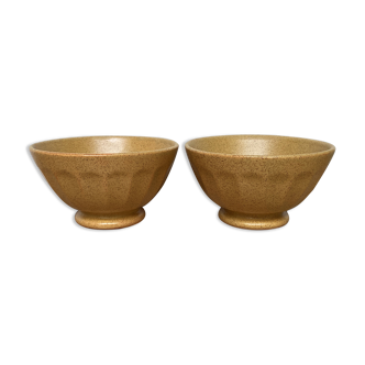 Set of 2 bowls