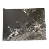 Bernard Darot 20th century silver photo On the mountainside